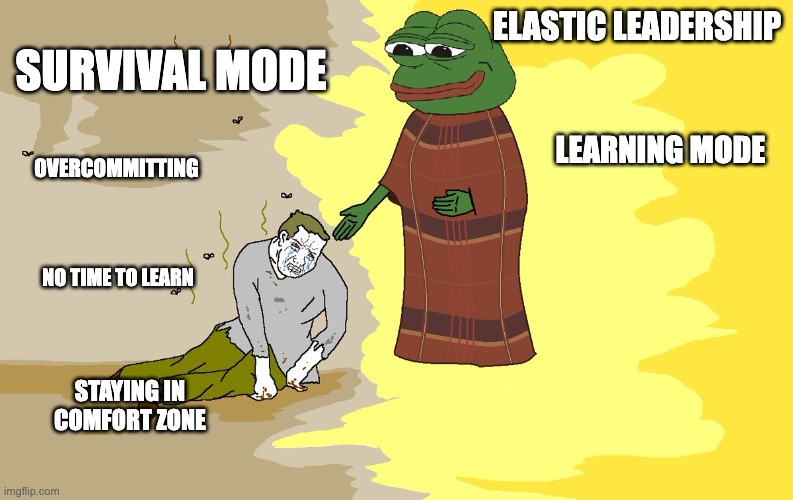 meme elastic leadership